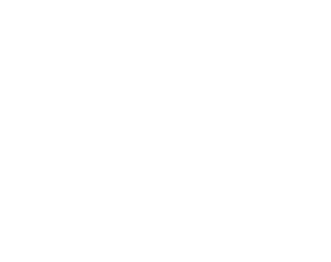 Profil einer Kuh
